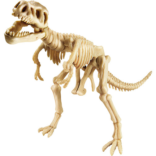 Scavo di dinosauri T-Rex, Immagine 1