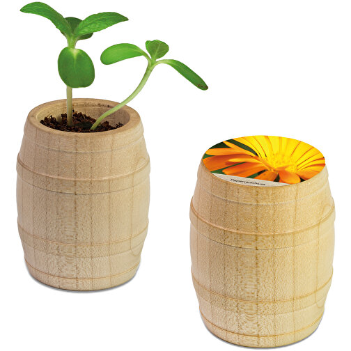 Mini-tonneau en bois avec graines - Souci, gravure laser, Image 1