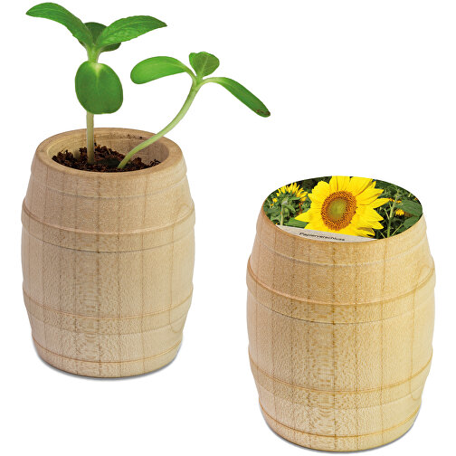 Pflanz-Fässchen Mit Samen - Sonnenblume , Holz, Erde, Saatgut, Papier, 5,50cm (Höhe), Bild 1