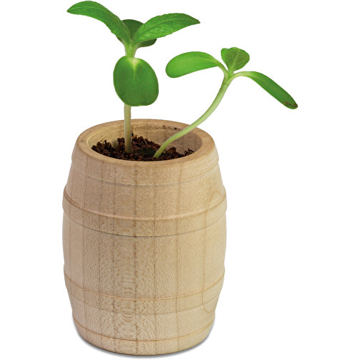 Mini-tonneau en bois avec graines - Souci, Image 2