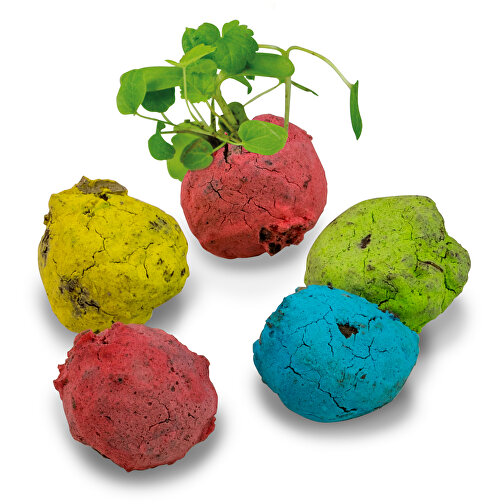 Bunte Mini Flower-Balls Mit Samen , Saatgut,Papier,Ton,Erde, , Bild 2