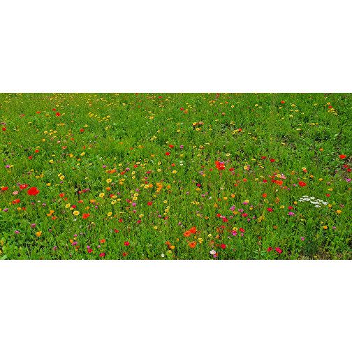 Bienenweide Im Oster-Eierkarton Blumen , , 9,50cm x 4,50cm x 6,00cm (Länge x Höhe x Breite), Bild 5