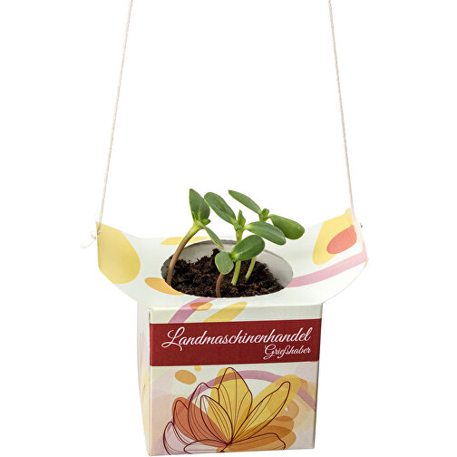 Blumenampel - Sonnenblume , Papier, Saatgut, Kunststoff, 6,20cm x 12,40cm x 6,20cm (Länge x Höhe x Breite), Bild 2