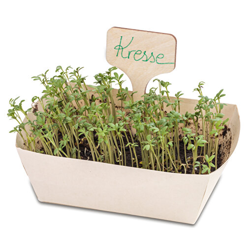 Kit de plantation - lot de 3 - mélange d\'herbes aromatiques / mélange de fleurs d\'été / tournesol, Image 3