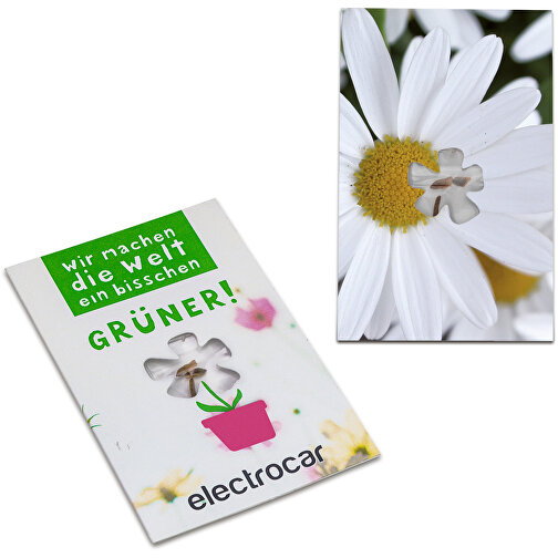 Carte de graines-Mini fleur - Marguerite, Image 1