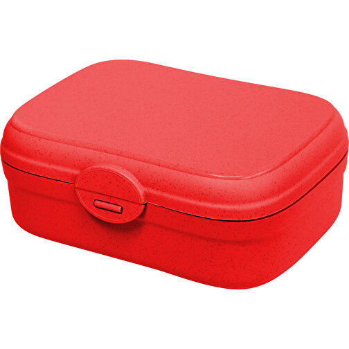 ARENA Lunchbox Mit Trennsteg , Koziol, nature red, Organic Bio-Circular, 16,70cm x 6,60cm x 12,20cm (Länge x Höhe x Breite), Bild 1