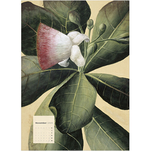 Botanicals , Papier, 49,00cm x 68,00cm (Länge x Breite), Bild 12