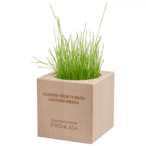 Plante-bois Grande avec graines - Persil, 1 sites gravés au laser, Image 2