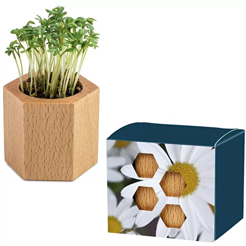 Bois à planter Hexagone avec graines - Marguerite, 1 face gravée au laser, Image 1