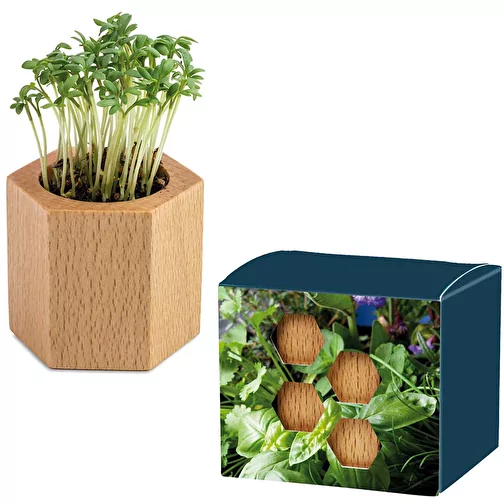 Bois de plantation Hexagon avec graines - Mélange d\'herbes, 1 face gravée au laser, Image 1
