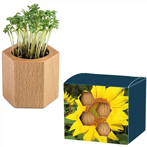 Bois de plantation Hexagon avec graines - Tournesol, Image 1