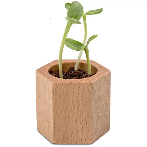 Bois de plantation Hexagon avec graines - Mélange d\'herbes aromatiques, Image 2