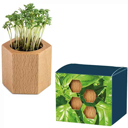 Hexagone à planter avec graines - Basilic, Image 1
