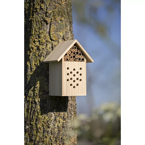 Ruche en bois Fahim, Image 5