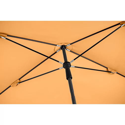 Parasol R, Image 6